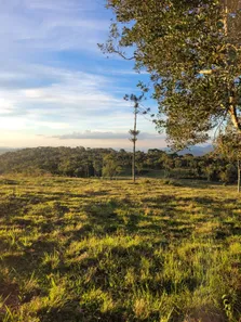 Fazenda/Sítio à venda, 20000m² no , Urubici