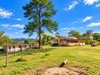 Lote/Terreno à venda, 46978m² no Jardim Ísis, Cotia
