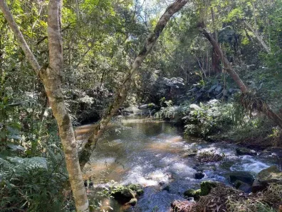 Fazenda/Sítio com 4 Quartos à venda, 400m² no , 