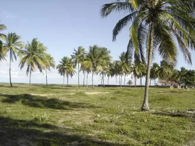 Lote/Terreno à venda, 468m² no , Sirinhaém