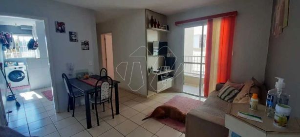 Apartamento com 2 Quartos à venda, 49m² no Doutor Tancredo de Almeida Neves, Araraquara