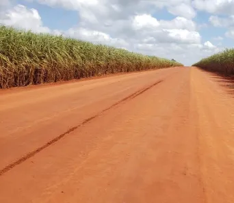 Fazenda/Sítio com 3 Quartos à venda, 85m² no Planalto do Sul, Teodoro Sampaio