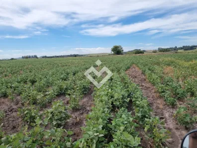 Fazenda/Sítio à venda, 430000m² no Santa Flora, Santa Maria