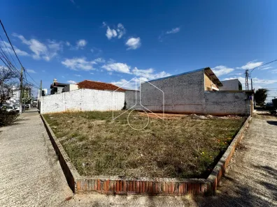 Lote/Terreno para alugar, 300m² no Centro, Marília