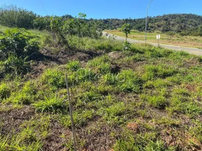 Lote/Terreno à venda, 530m² no Jardim Portugal, Valinhos