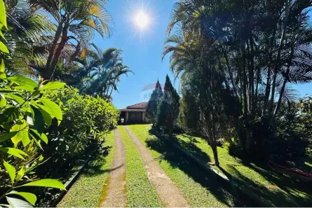Fazenda/Sítio à venda, 5000m² no Centro, Guaçuí