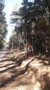 Lote/Terreno para alugar, 5022m² no Estância Angelina, Suzano