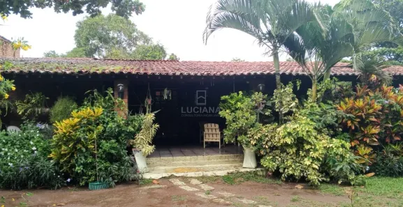 Fazenda/Sítio com 6 Quartos à venda, 450m² no Alpes Suiços, Gravatá