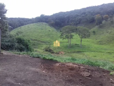 Fazenda/Sítio com 3 Quartos à venda, 200m² no , Carmésia