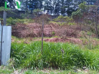 Lote/Terreno à venda, 298m² no Quinta das Videiras, Louveira