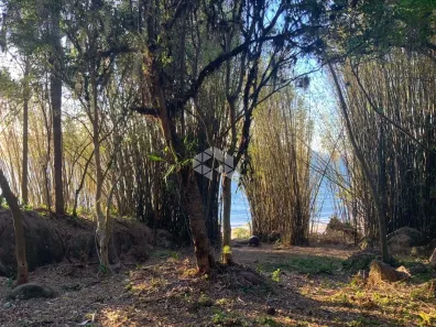 Lote/Terreno à venda, 1485m² no Daniela, Florianópolis