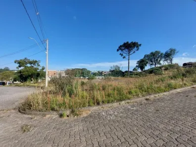 Lote/Terreno à venda, 2807m² no São Ciro, Caxias do Sul