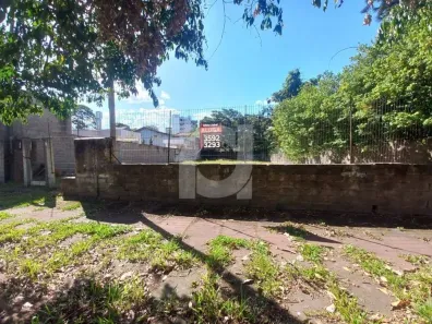 Lote/Terreno para alugar, 360m² no Rio Branco, São Leopoldo