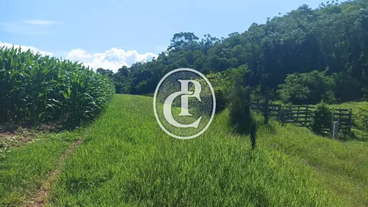 Fazenda/Sítio com 2 Quartos à venda, 300m² no Área Rural de Paraibuna, Paraibuna