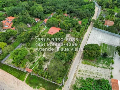 Fazenda/Sítio com 6 Quartos à venda, 8777m² no Mangabeira, Eusébio