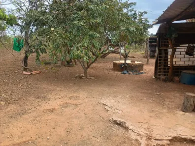 Fazenda/Sítio com 1 Quarto à venda, 70m² no Ponte Alta Norte, Brasília