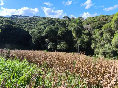 Fazenda/Sítio à venda, 23373m² no , Balsa Nova