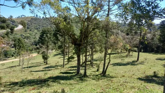 Fazenda/Sítio à venda, 63556m² no Dona Francisca (Pirabeiraba), Joinville