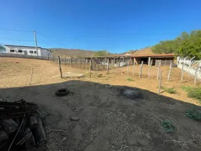 Fazenda/Sítio com 3 Quartos à venda, 130000m² no , Jucurutu