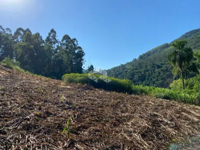 Fazenda/Sítio à venda, 15000m² no , Nova Petrópolis