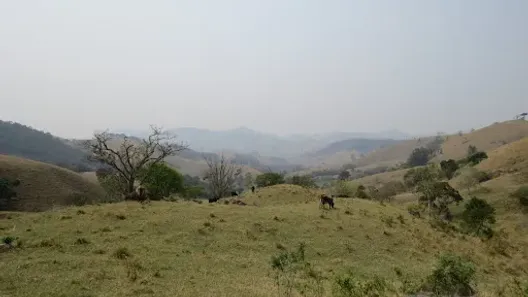 Lote/Terreno à venda, 20000m² no , Consolação