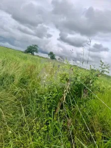 Lote/Terreno à venda, 6000m² no , Cumbe