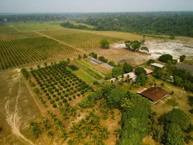 Fazenda/Sítio à venda, 3960000m² no , Novo Airão