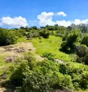 Fazenda/Sítio à venda, 20000m² no Ribeirão de Cangueri, Imaruí