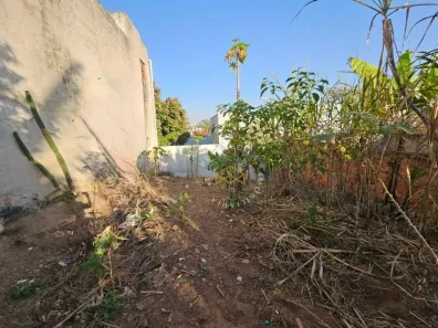 Lote/Terreno à venda, 313m² no Jardim Santana, Campinas