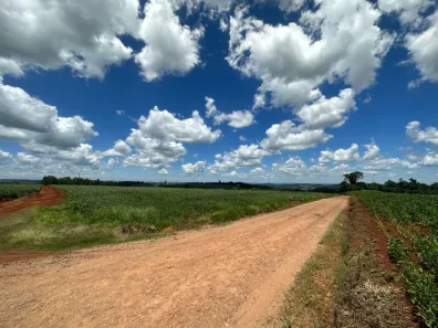 Fazenda/Sítio com 1 Quarto à venda, 1m² no Rio do Salto, Cascavel