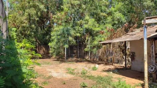 Lote/Terreno à venda, 73m² no Vila Virgínia, Ribeirão Preto