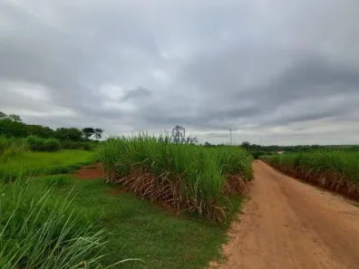 Lote/Terreno para alugar, 30000m² no Conceição, Piracicaba