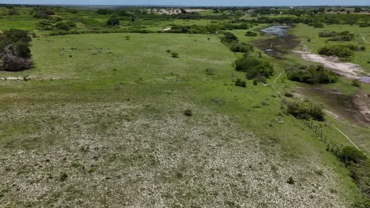 Fazenda/Sítio com 2 Quartos à venda, 1200000m² no , Monte Alegre