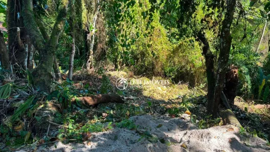 Lote/Terreno à venda, 500m² no , Cairu