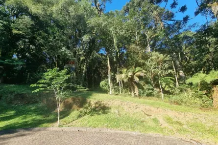 Lote/Terreno à venda, 784m² no Pinheiro Grosso, Canela