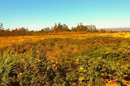 Lote/Terreno à venda, 400m² no Ponte Alta Norte, Brasília