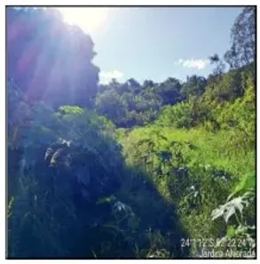 Lote/Terreno à venda, 730m² no Jardim Alvorada, Campo Mourão