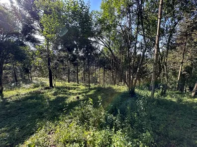 Lote/Terreno à venda no , Urubici