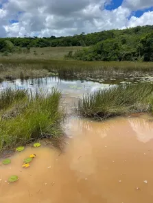 Fazenda/Sítio com 3 Quartos à venda, 1260000m² no , Pedro Velho