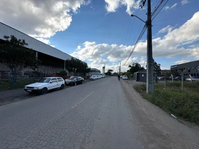 Galpão/Depósito/Armazém para alugar, 5000m² no Costeira, São José dos Pinhais