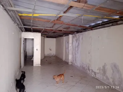 Galpão/Depósito/Armazém com 1 Quarto para alugar, 112m² no Botafogo, Rio de Janeiro