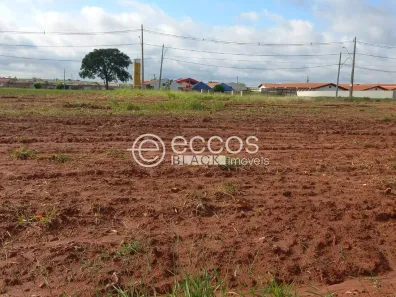 Lote/Terreno à venda, 250m² no Loteamento Monte Hebron, Uberlândia