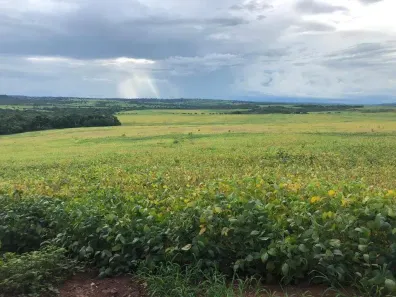 Fazenda/Sítio à venda, 600m² no Área Rural de Mineiros, Mineiros