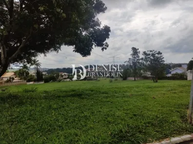 Lote/Terreno à venda, 2542m² no Loteamento Alphaville Campinas, Campinas