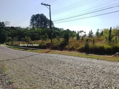 Lote/Terreno à venda, 5000m² no Paisagem Renoir, Cotia