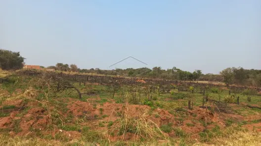 Imóvel Comercial à venda, 10000m² no Vila Aviação B, Bauru