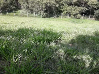 Lote/Terreno à venda, 463m² no Granja Viana, Cotia