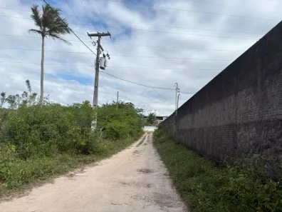 Fazenda/Sítio com 3 Quartos à venda, 250m² no Zona de Expansão Urbana Sul, Macaíba