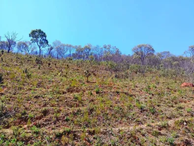 Lote/Terreno à venda, 1000m² no Vale Feliz, Campos do Jordão