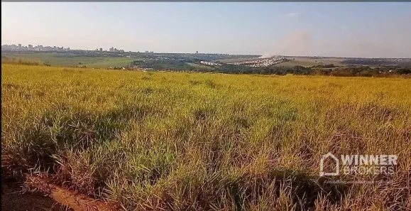 Lote/Terreno à venda, 310m² no Jardim Paraíso, Maringá